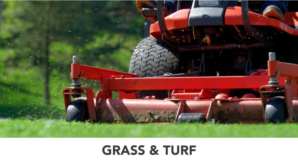 Grass & Turf 02OP